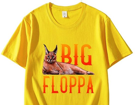 Big floppa - Literally how And why